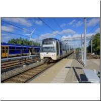 2025-09-08 E Forepark 02.jpg